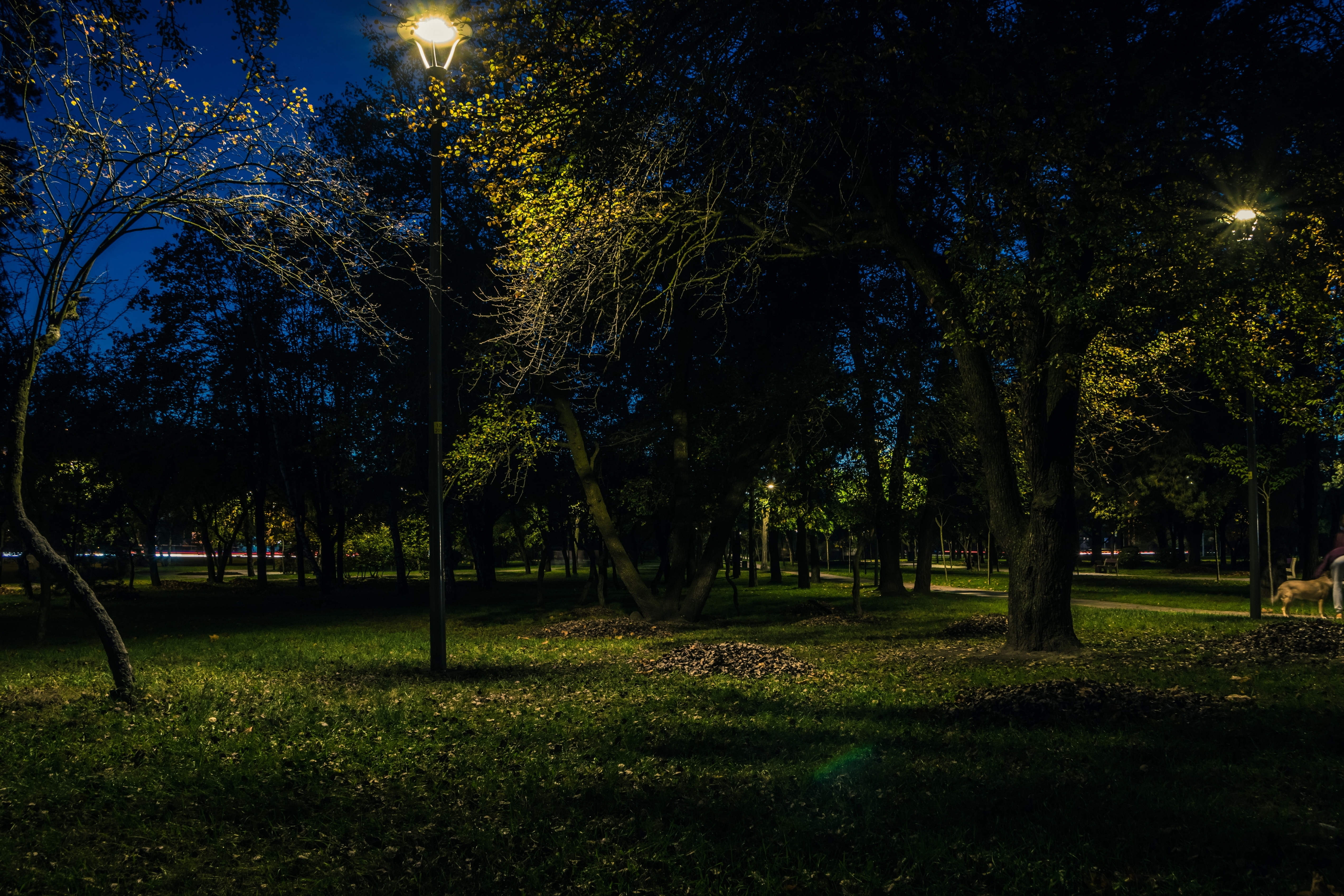 Park at night | Source: Shutterstock.com