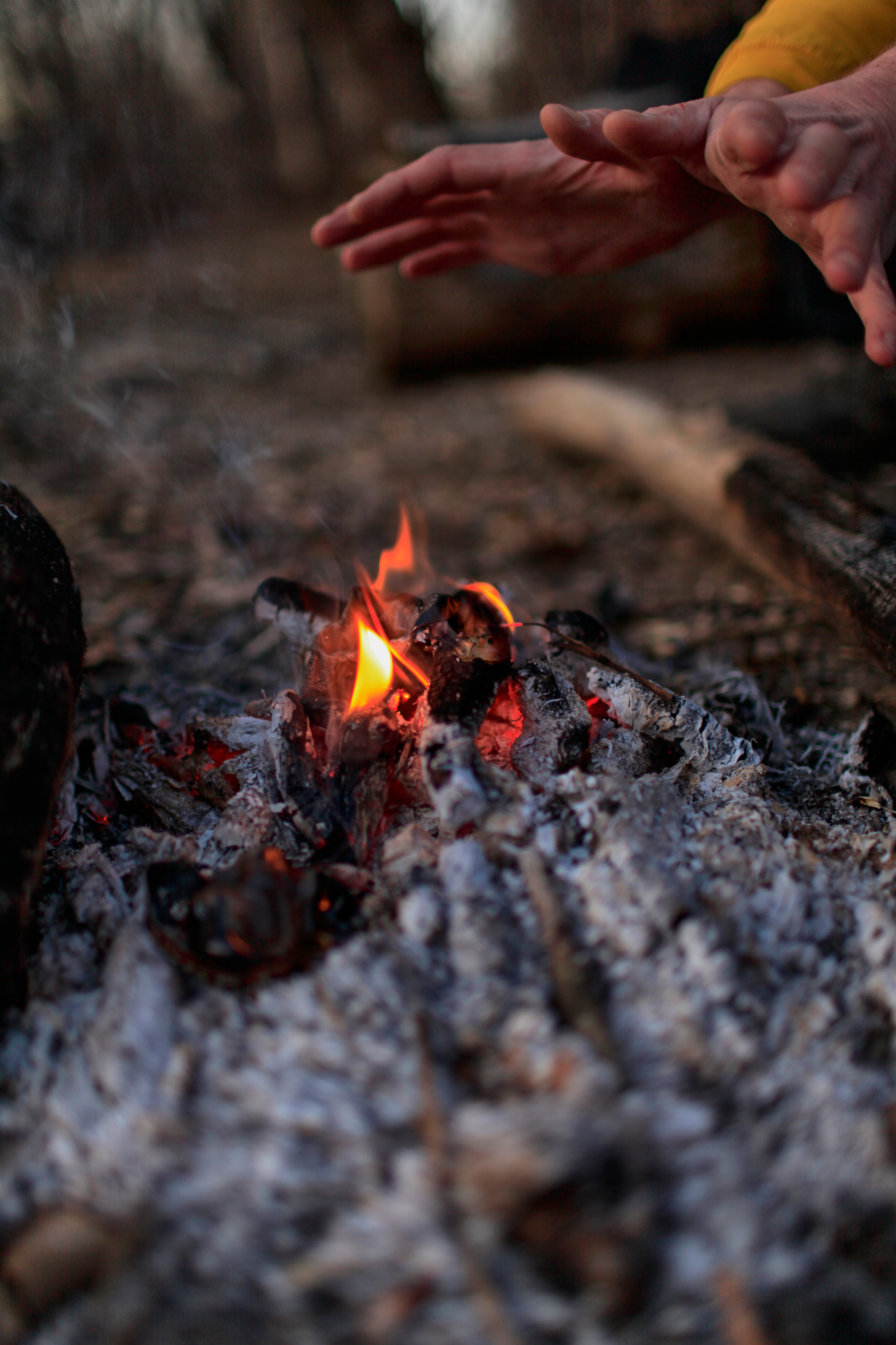 Hands near the fire | Source: Shutterstock.com