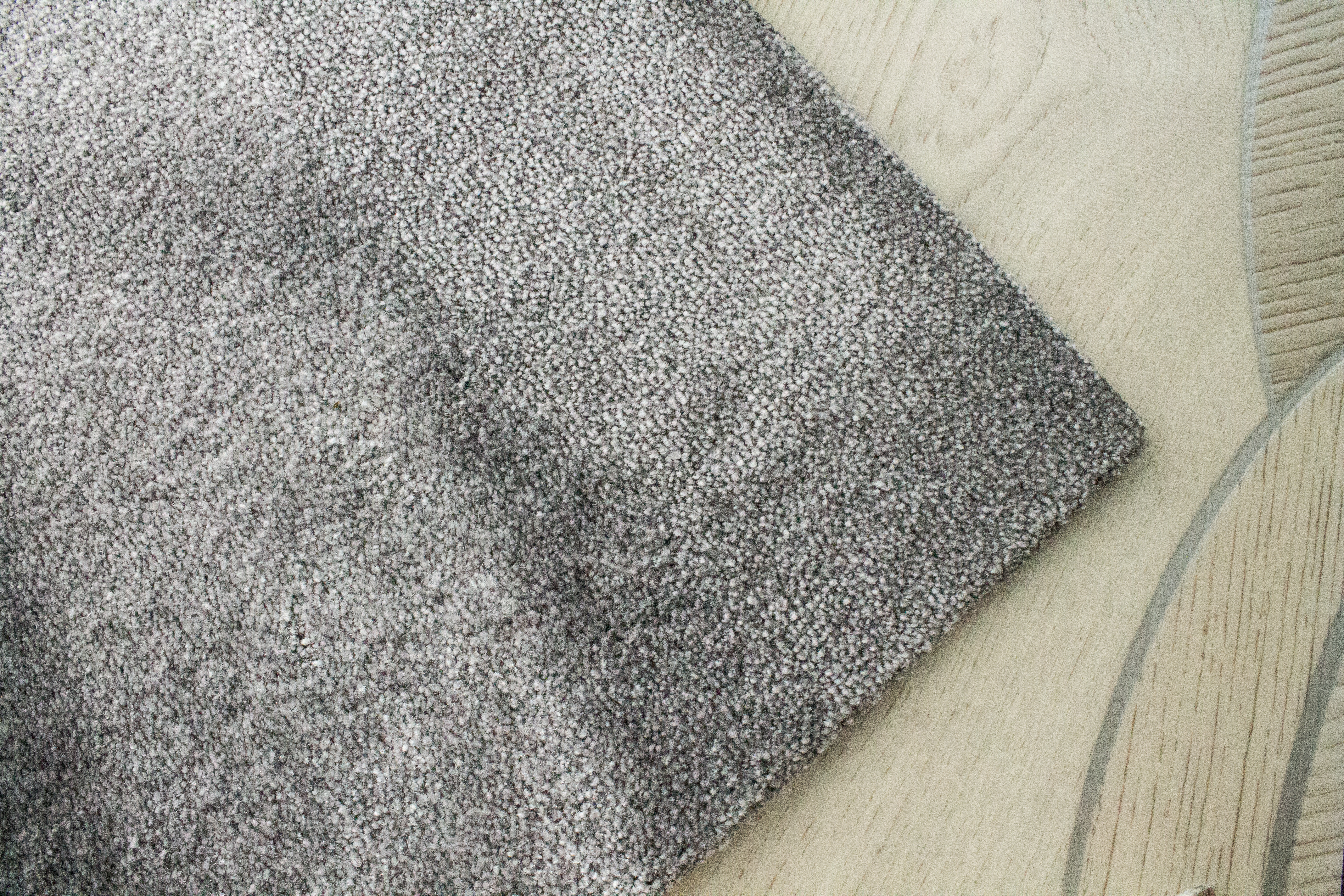 Carpet | Source: Shutterstock