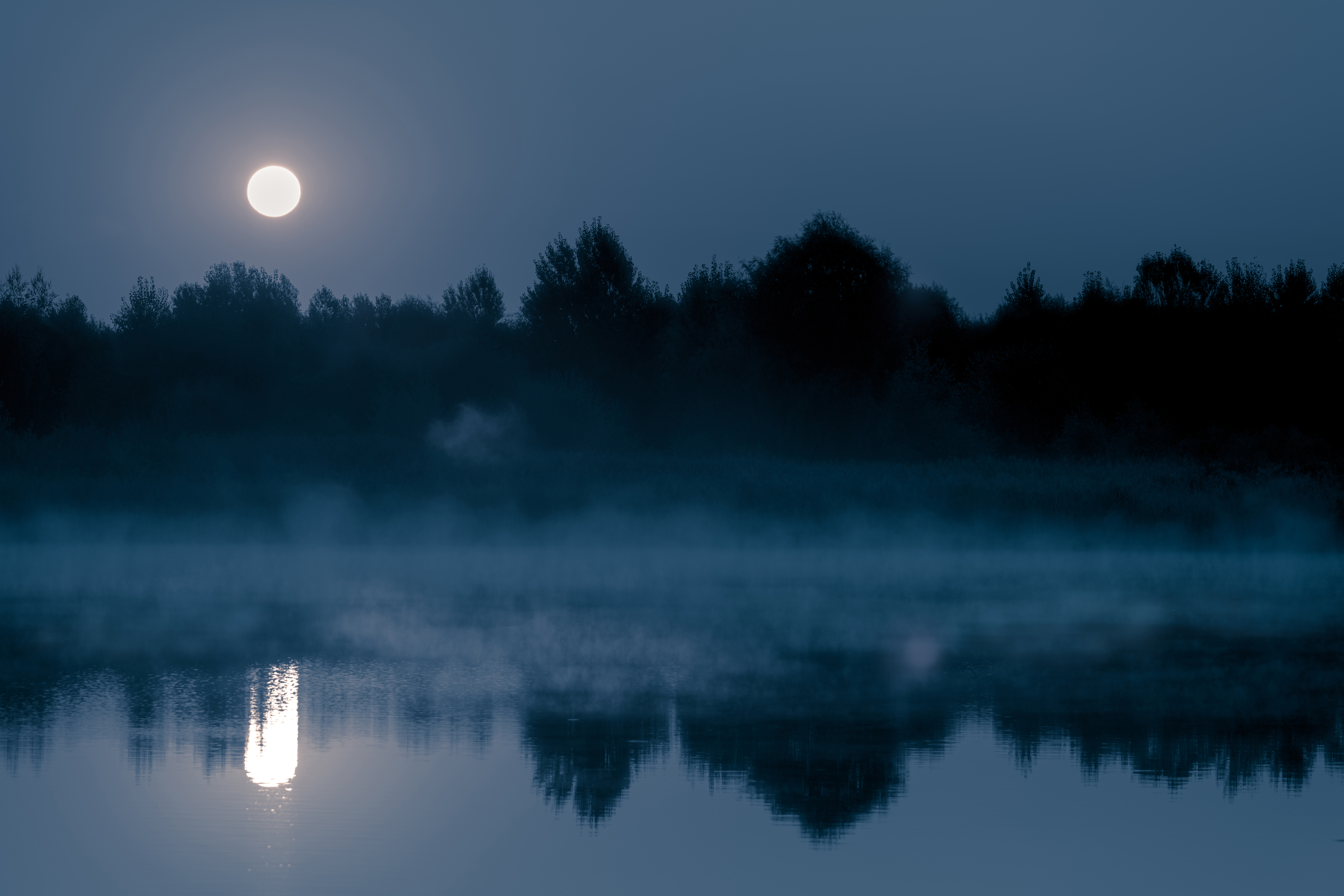 Night mystical scenery | Source: Shutterstock